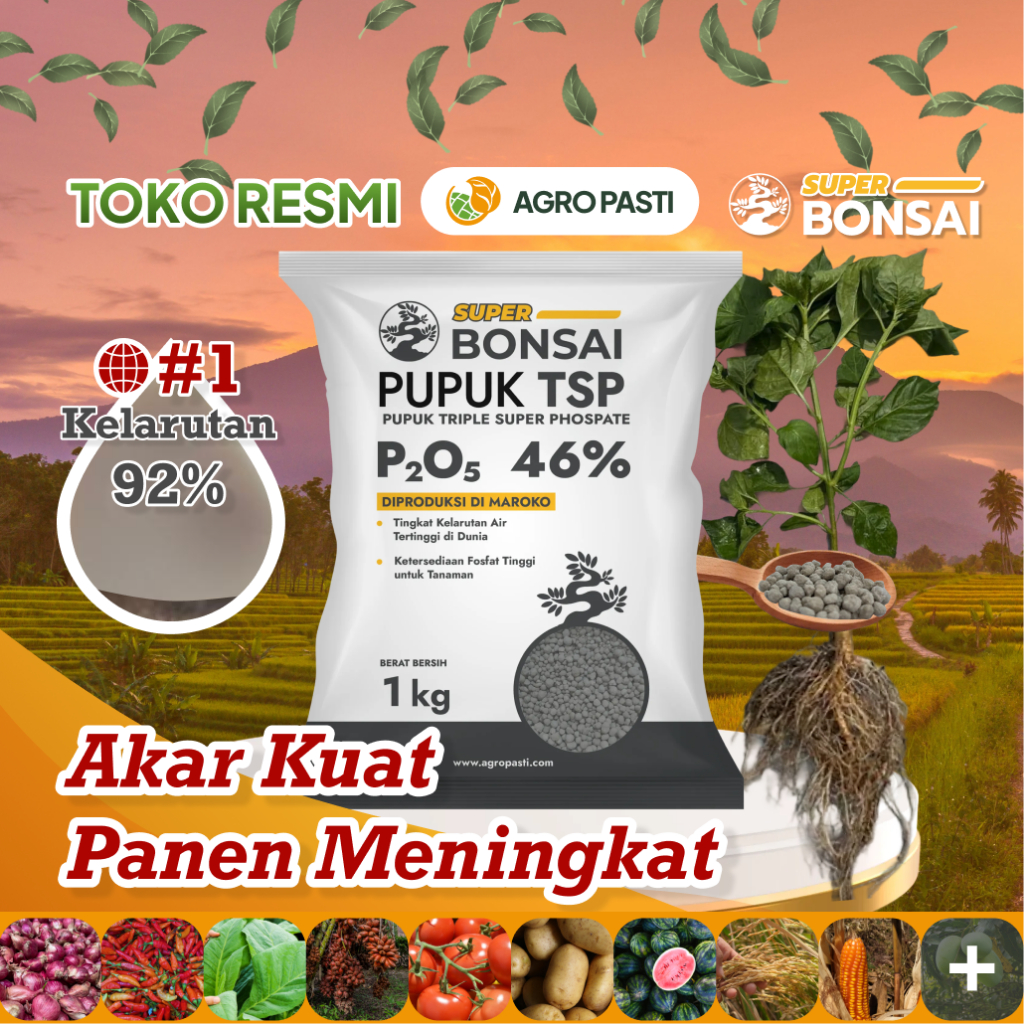 Pupuk TSP Super Bonsai 46% 1kg - Fosfat Murni, Dosis Kecil, Akar Kuat, Kelarutan #1 di Dunia