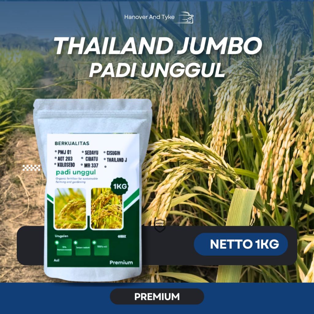 Benih padi unggul Thailand jumbo original
