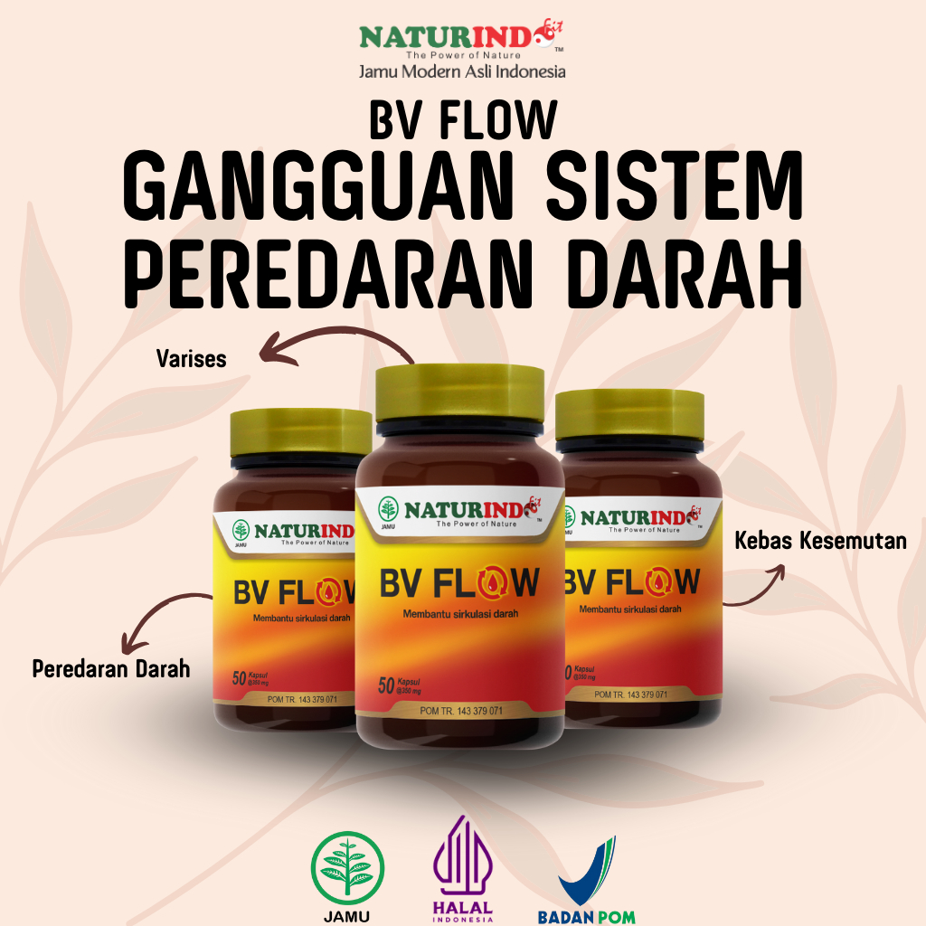 Obat Herbal Kebas Kesemutan Kram Peredaran Darah Leher Kaku Varises Bv Flow Naturindo