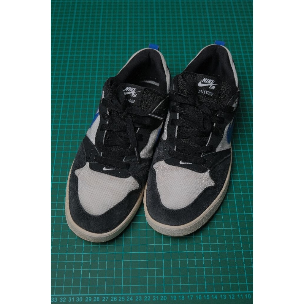 Nike SB Alleyoop Skate