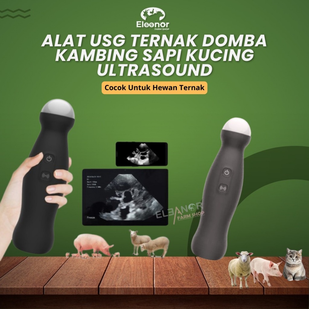 Alat USG Ternak Domba Kambing Sapi Kucing Ultrasound Portable DAWEI