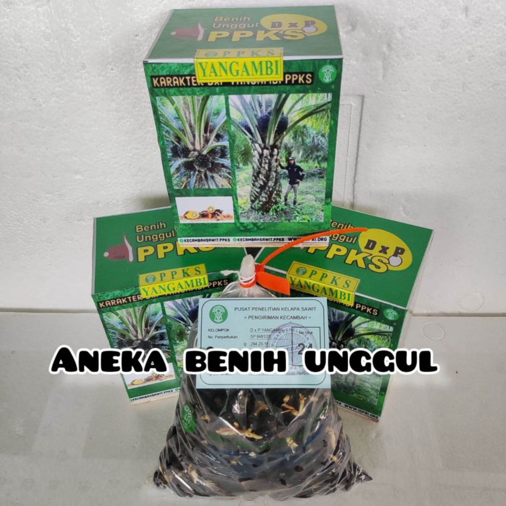 DXP PPKS YANGAMBI UNGGUL ISI 250 BUTIR