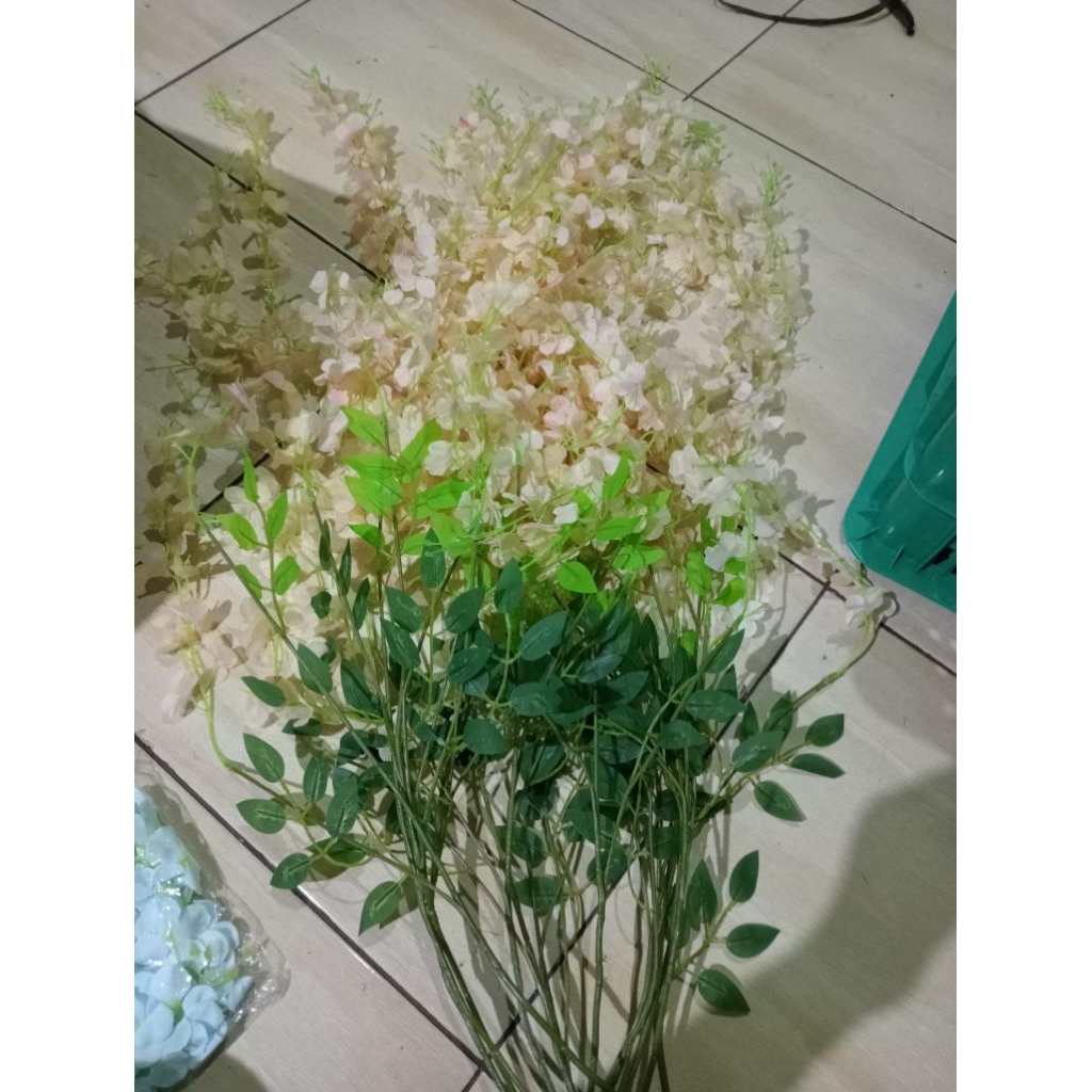 Bunga Wisteria Jumbo ( 1 lusin )