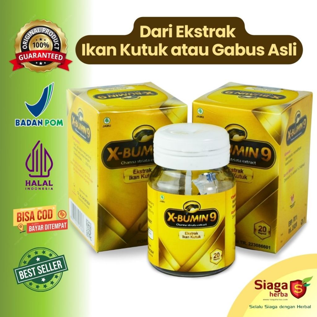 Sari Kutuk XBUMIN9 Al-Ghuroba - Sumber Albumin Obat Luka Operasi - Ikan Gabus Kutuk Asli 20 Kapsul