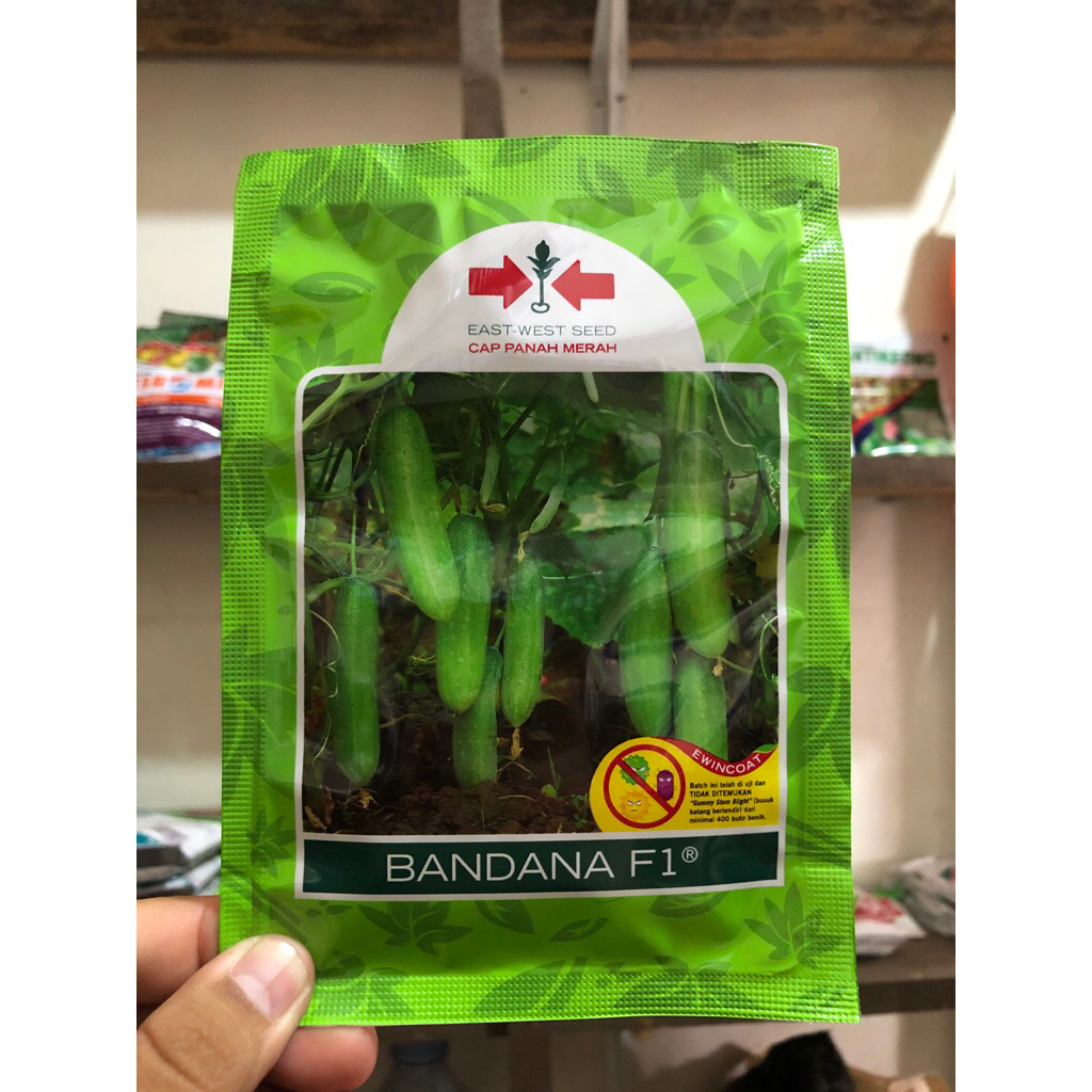Benih Timun Bandana