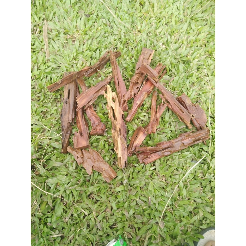 kayu rentek mini aquarium1kg