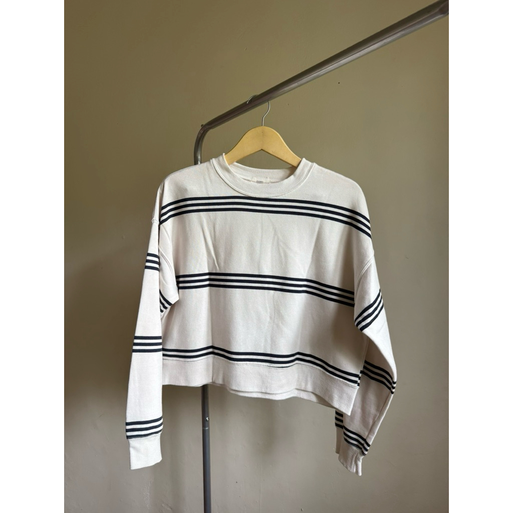 Zano Basic Seeater Crop