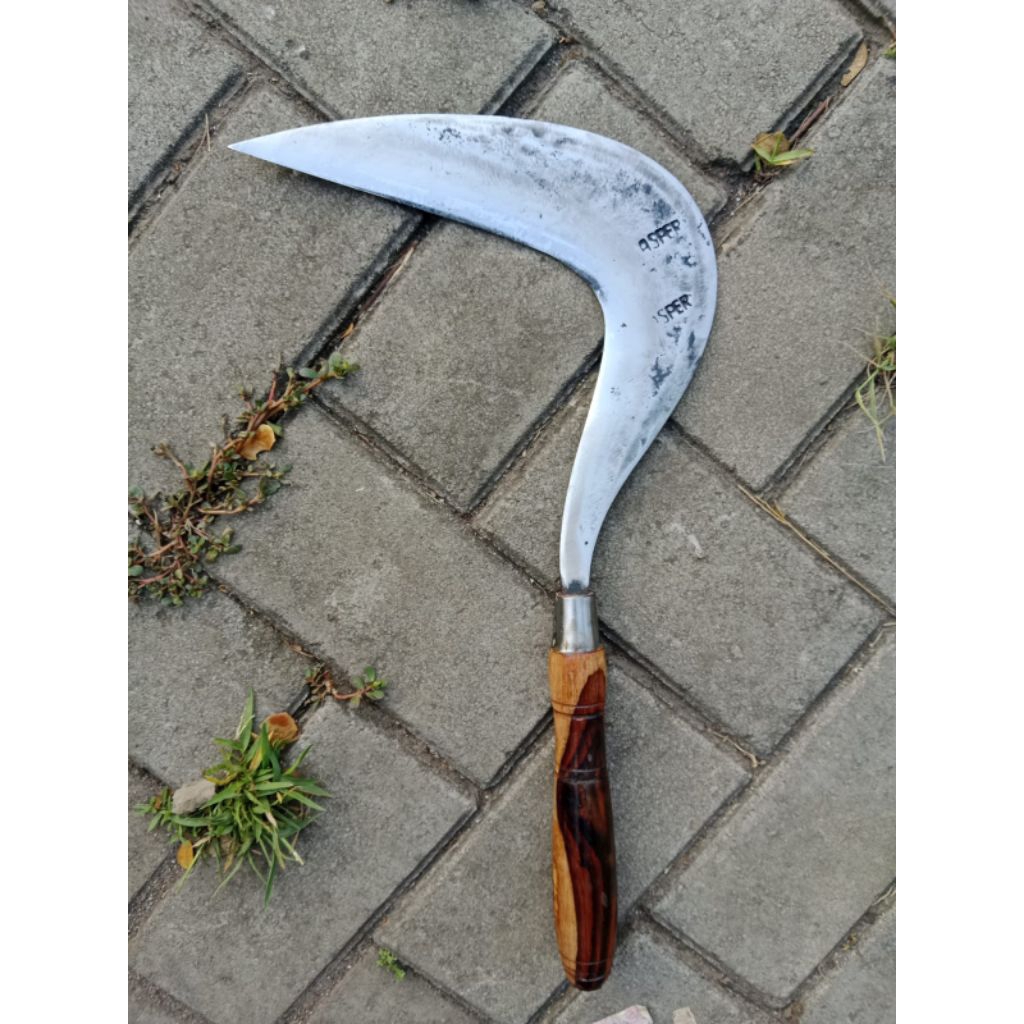 Arit Rumput Cap ASPER JAWA Alat Panen Padi Pembersih Rumput Baja Kuat