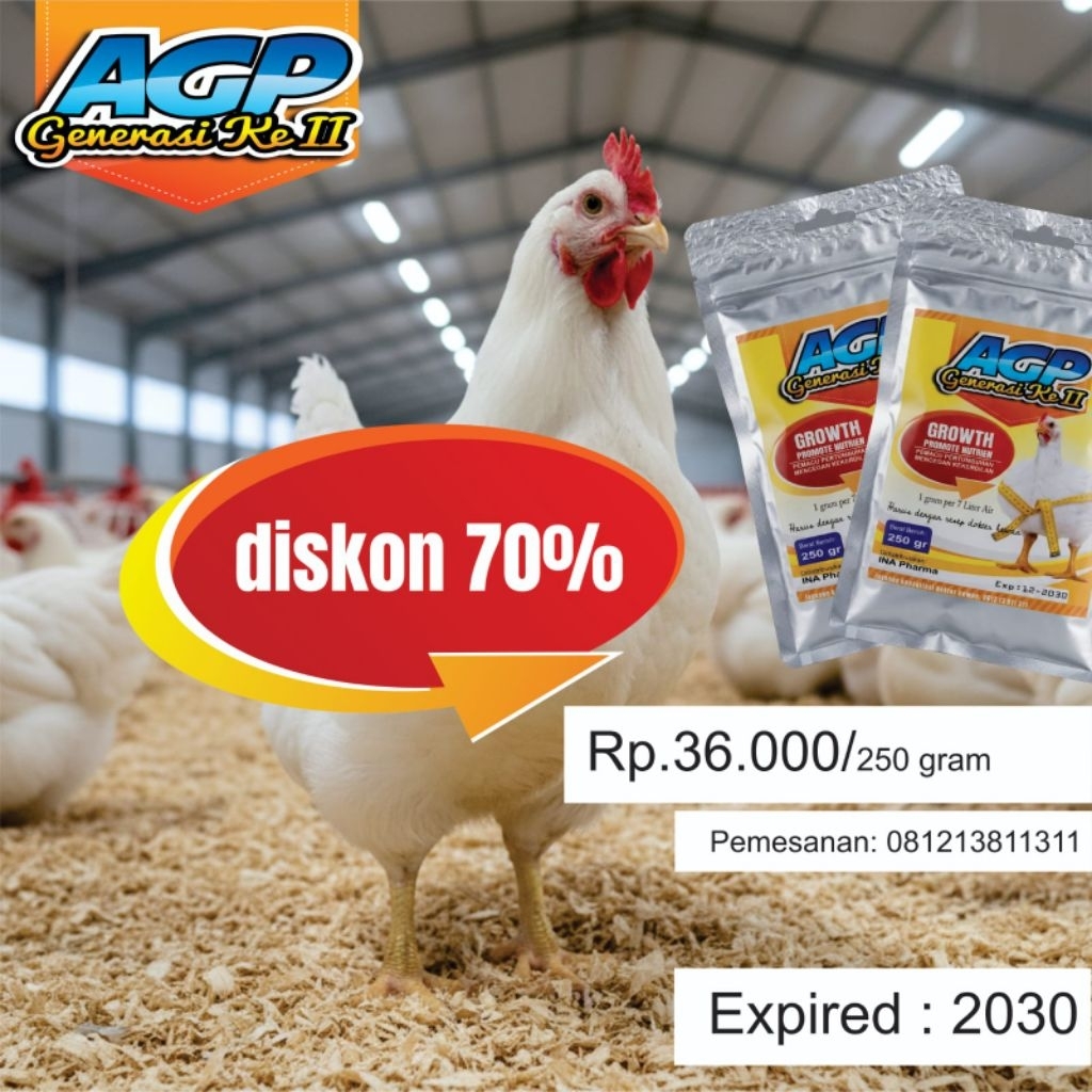 AGP Generasi ke II pertumbuhan broiler