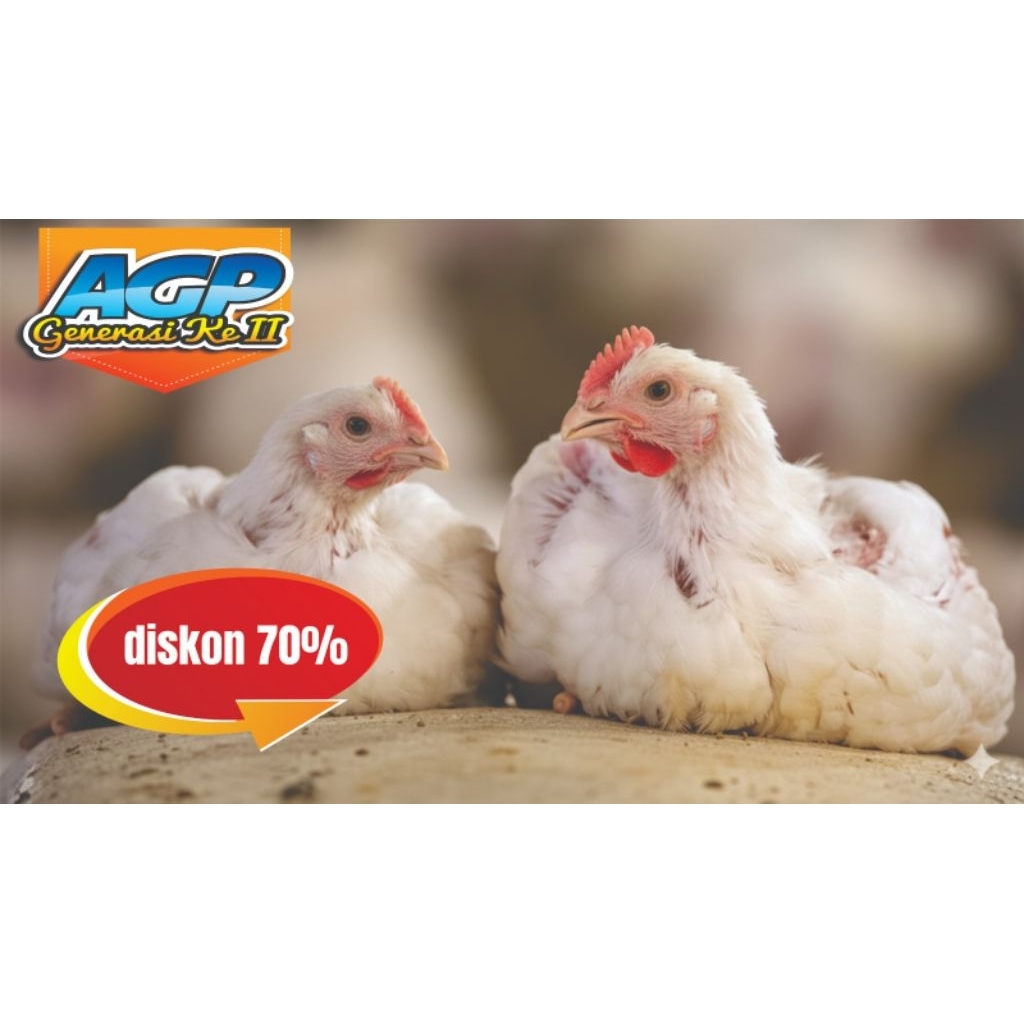 Super Bobot Broiler AGP II diskon 70%