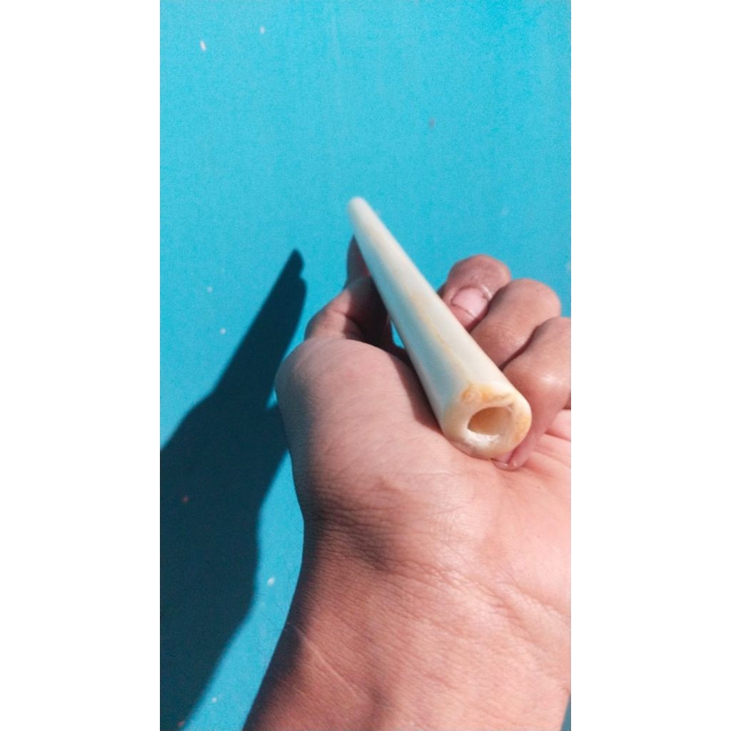 pipa pipo once tulang moncong ikan marlin