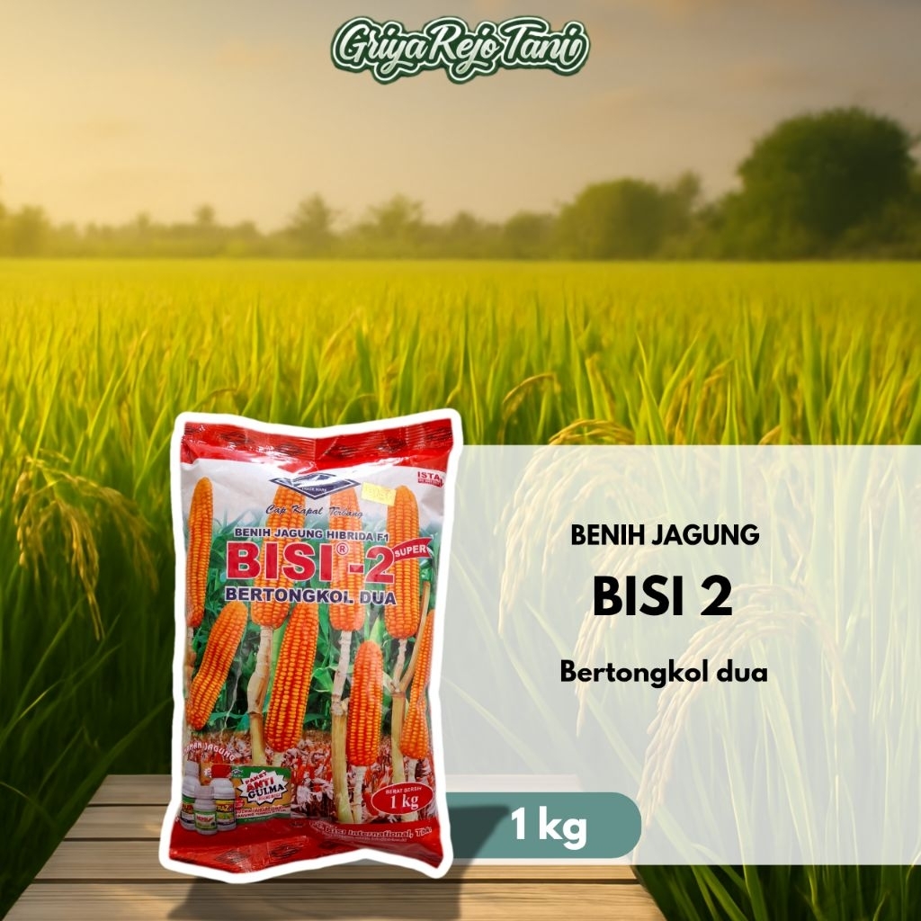 Benih Benih Jagung Bisi 2