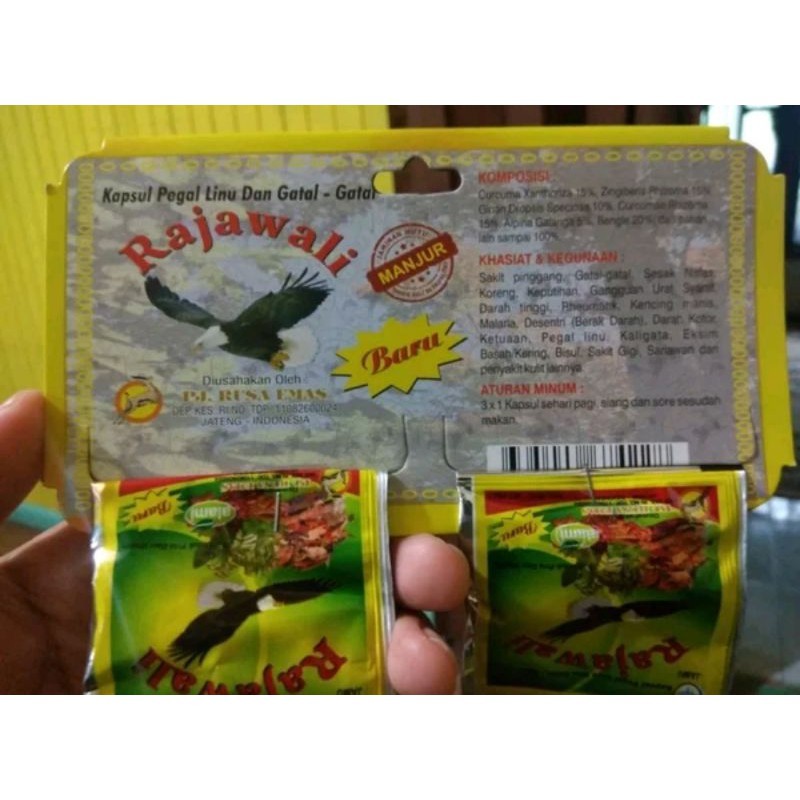 Kapsul Herbal Rajawali Herbal Untuk Asam Urat Dan Pegal Linu DAN LAINYA