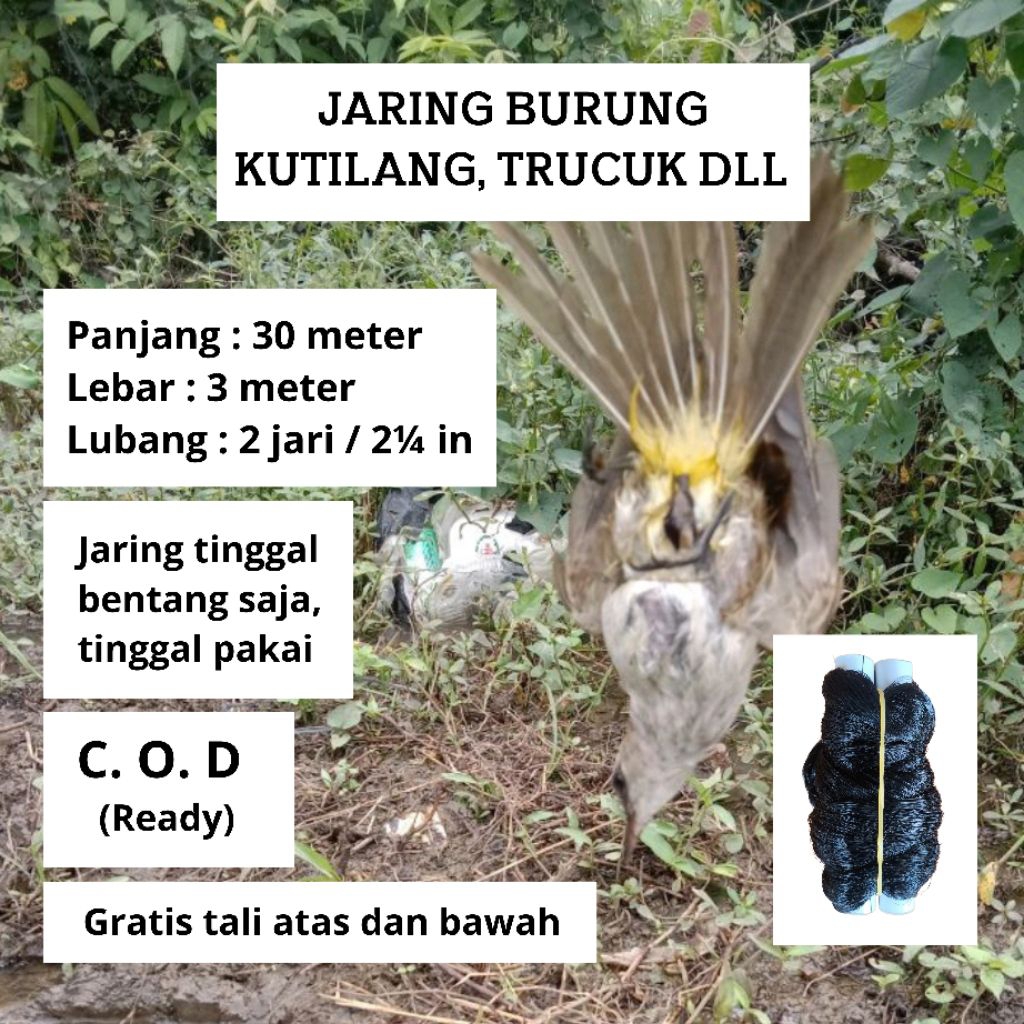 JARING PIKAT BURUNG KUTILANG JEBAKAN BURUNG SAWAH JARING BURUNG BESAR