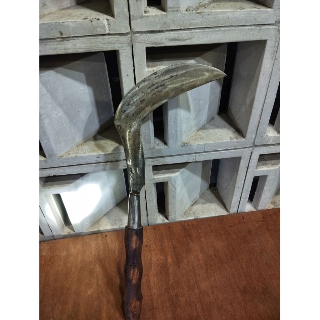 SABIT TAJAM 100% BAJA