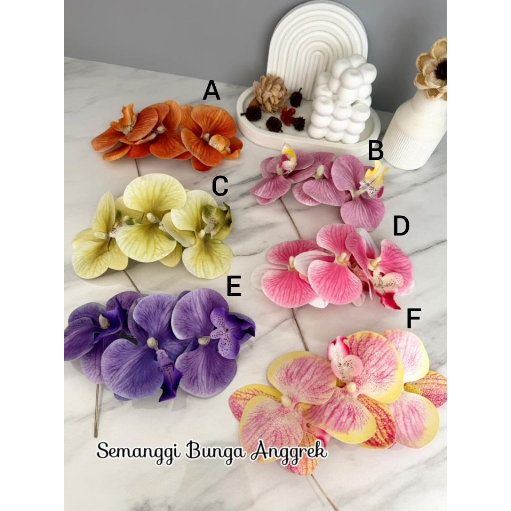 Serian Semanggi Bunga Anggrek