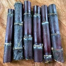 Bibit Tebu Hitam / Tebu Wulung [ 5 bibit ]