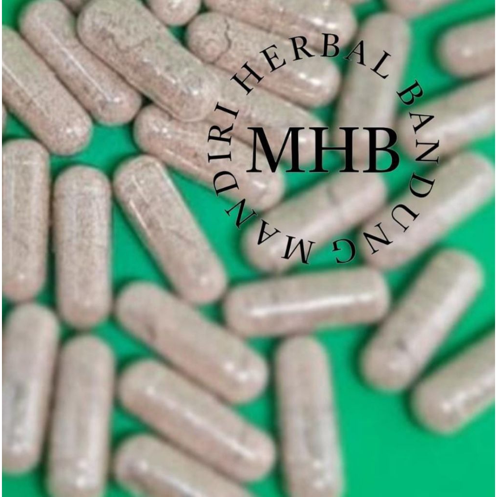 Kapsul cacing obat tipes isi 20pcs kapsul cacing tanah kapsul cacing lumbricus