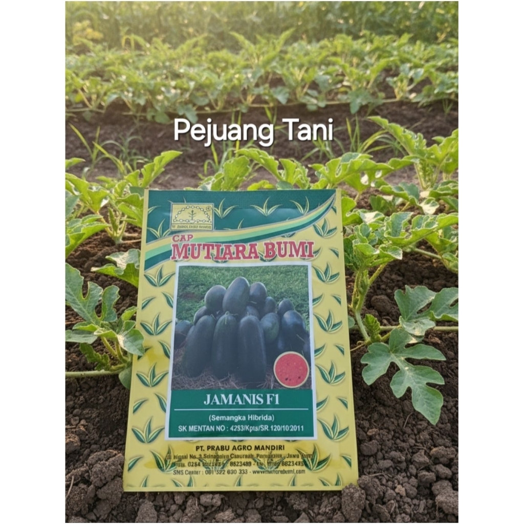 Semangka Inul Jamanis 20 gram - Cap Mutiara Bumi