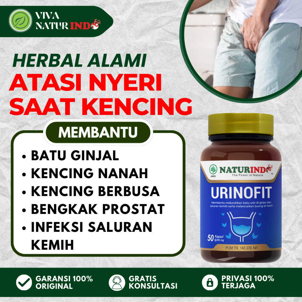 URINOFIT Obat Herbal Nyeri Saat Kencing Batu Ginjal Infeksi Saluran Kemih Kencing Berbusa NATURINDO