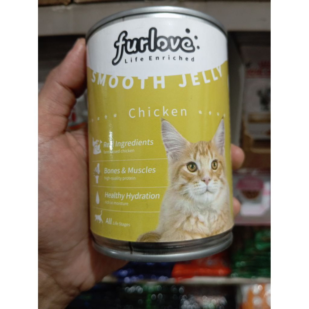 furlove kaleng kitten