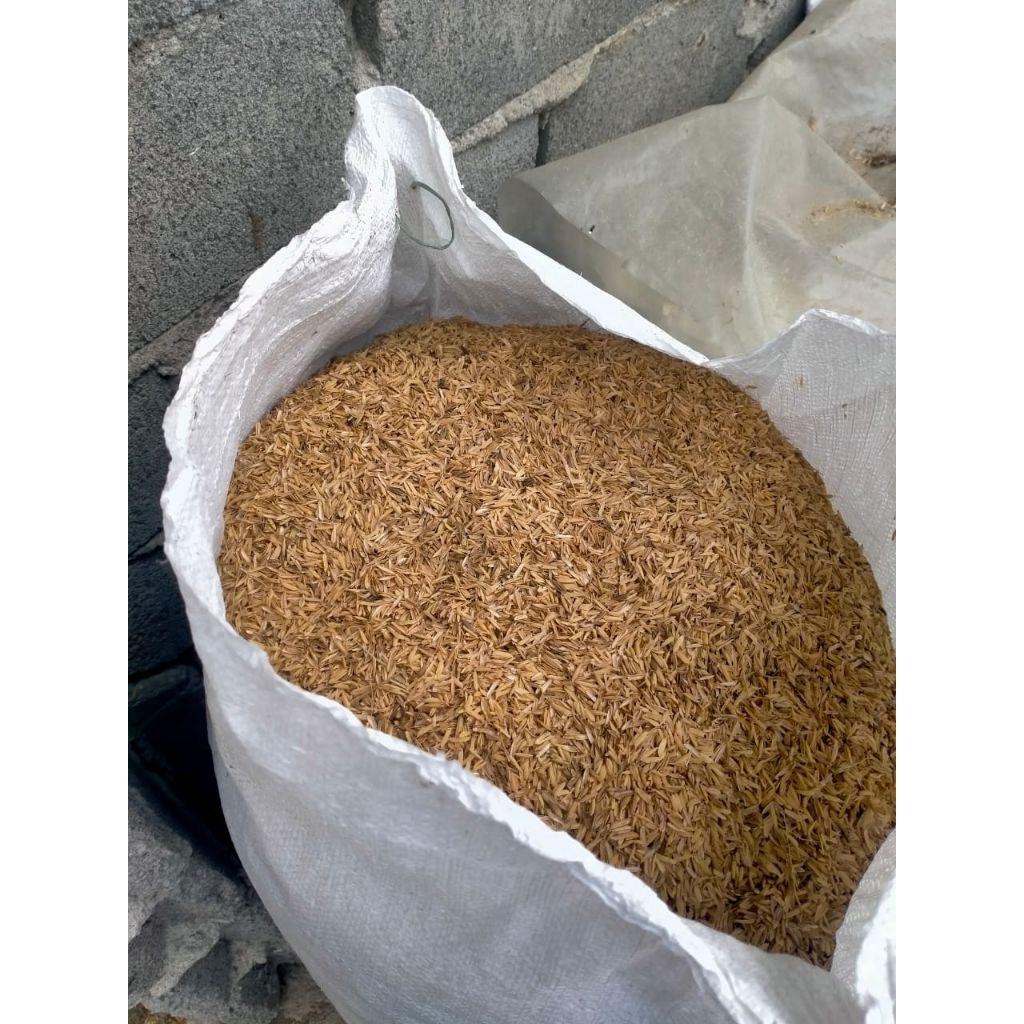 MERANG PADI KERING SEKAM TERNAK MEDIA TANAM 1KG