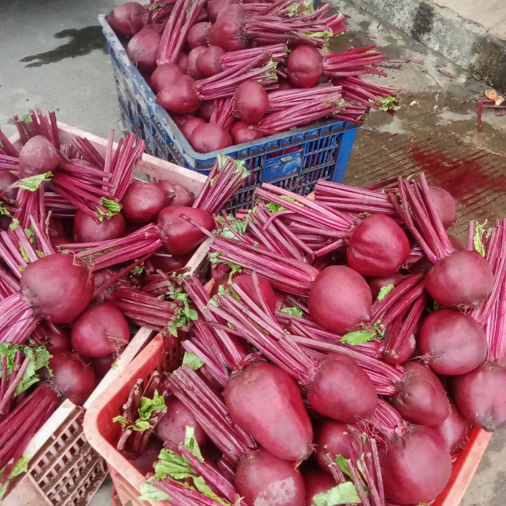 buah bit segar