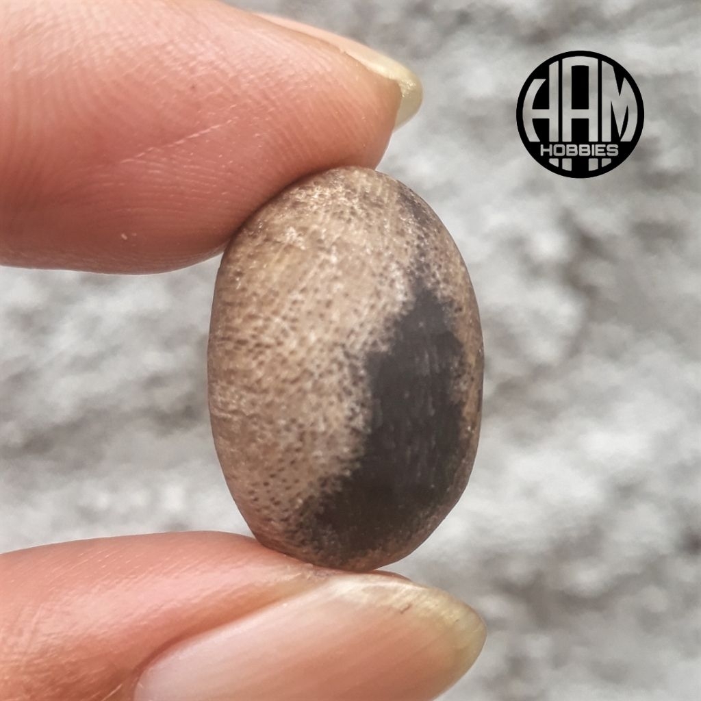 mata cincin akik batu galih pule temuan