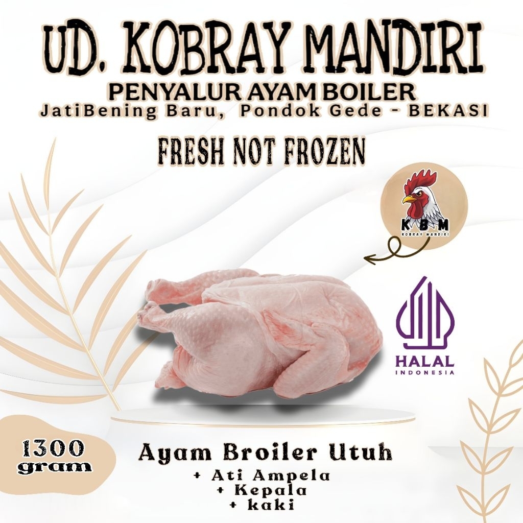 [TERMURAH] Ayam Potong Broiler 1,3 Kg