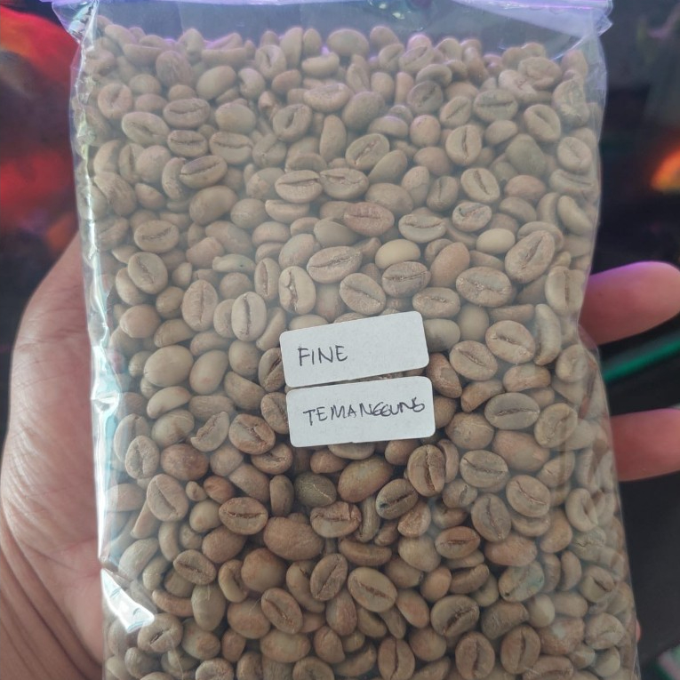 GREEN BEAN FINE KOPI ROBUSTA TEMANGGUNG BIJI KOPI PETIK MERAH ASLI TEMANGGUNG