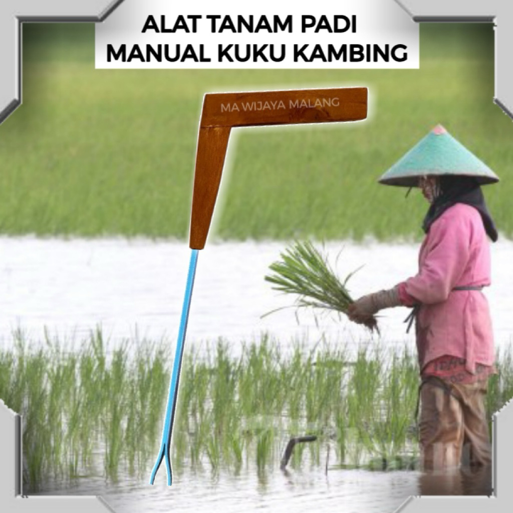 ALAT TANAM PADI MANUAL / ALAT TANAM PADI  PRAKTIS / ALAT TANAM PADI MANUAL KUKU KAMBING