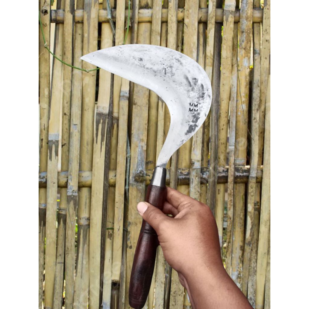 Arit Rumput Cap MM l Sabit Baja Premium l Alat Potong Rumput Padi Pakan Ternak SIAP PAKAI