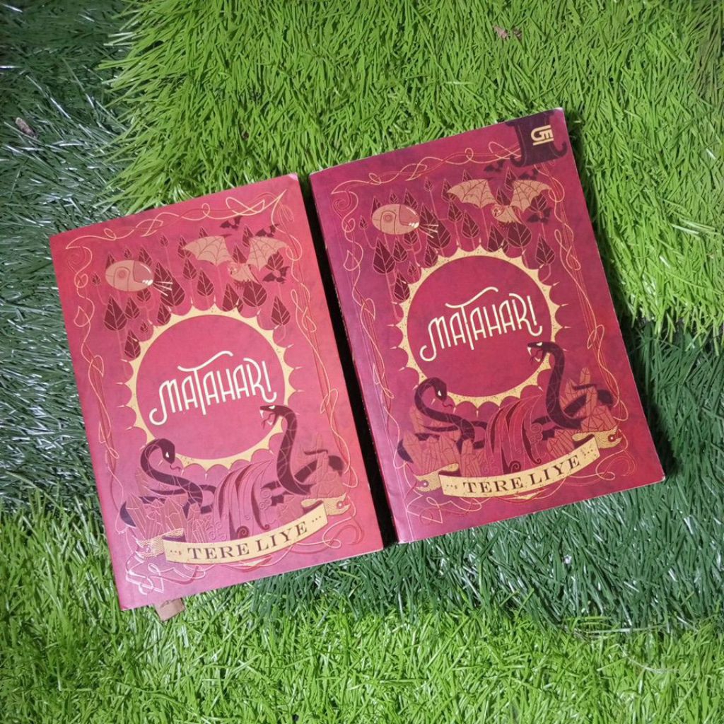 Buku Preloved Matahari (Series Bumi) - Tere Liye