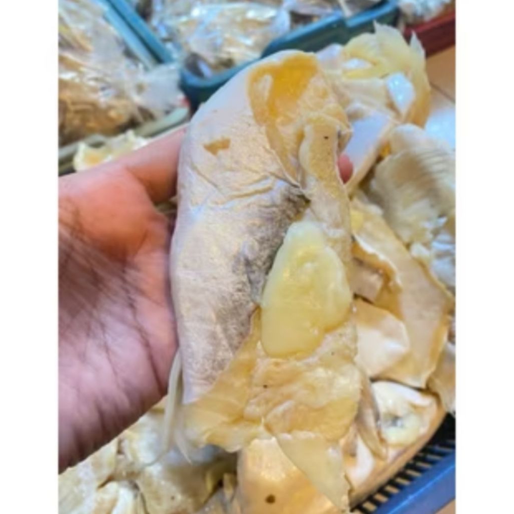 Perut ikan asin patin segar/ikan asin perut patin murah/Tetelan patin