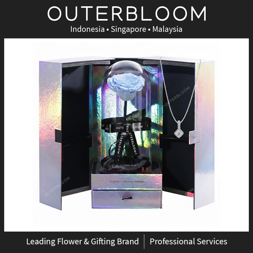 Hadiah Valentine - Enchanted Sky Halo Shine