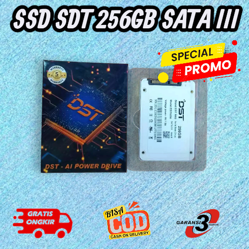 SSD Sata III DST 256 Gb - Baru dan Bergaransi Resmi