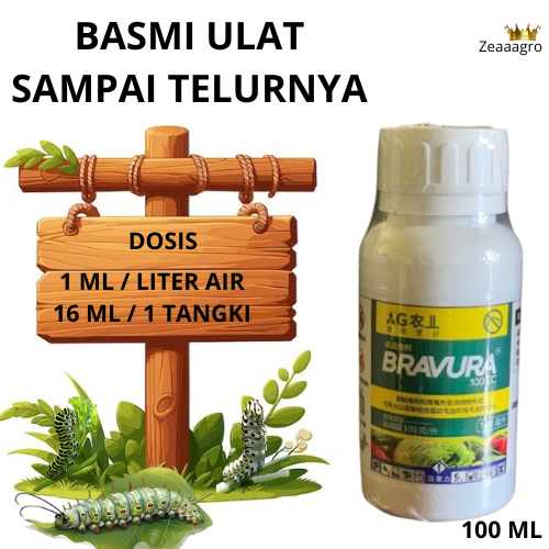 Bravura Insektisida Ampuh Basmi Ulat Tuntas