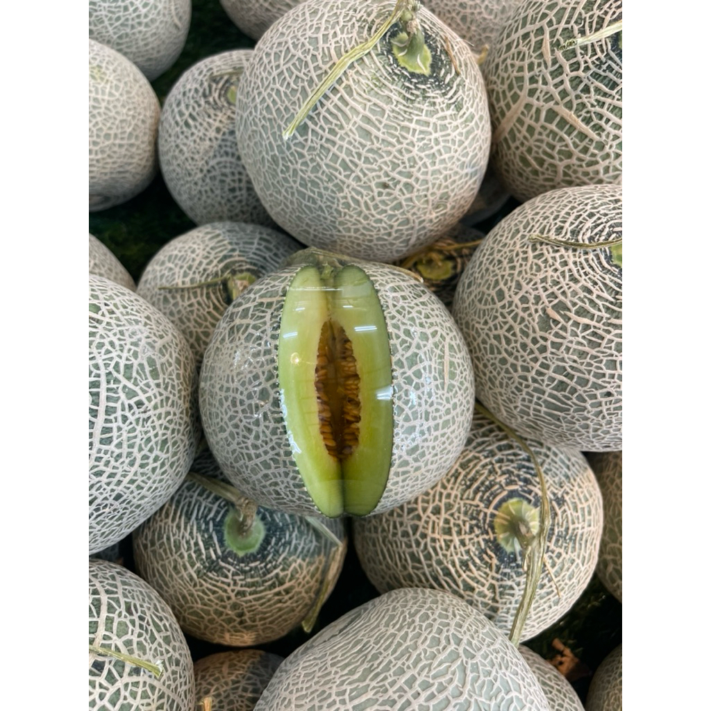 Baby Melon Jepang Fresh / Melon Jepang Daging Hijau Fresh / Pcs