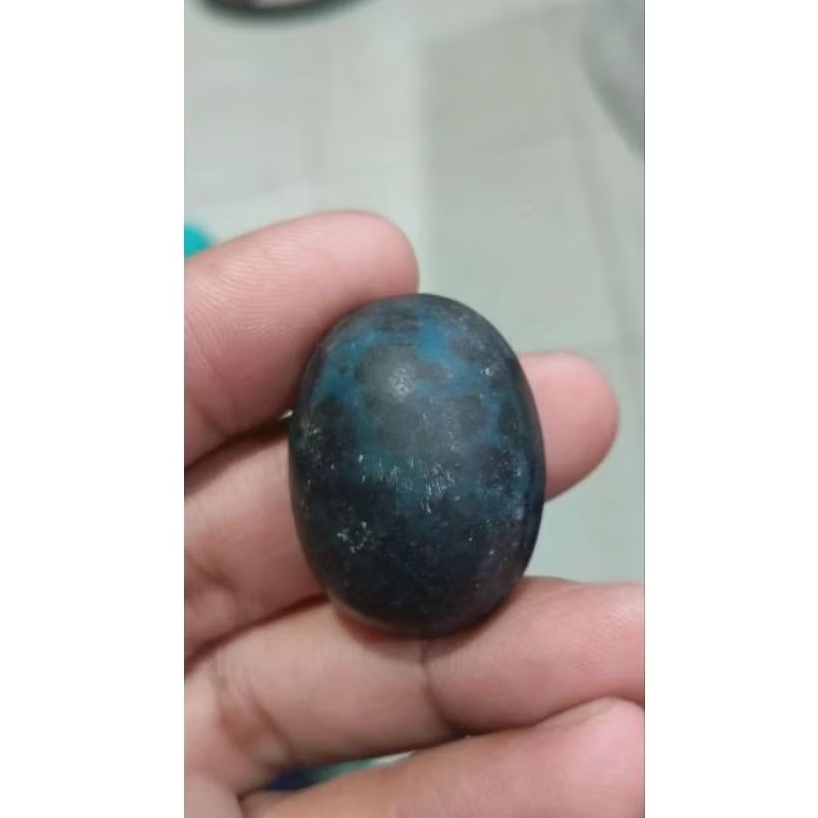 Bacan Totol Jumbo Kualitas Biasa Harga Murah