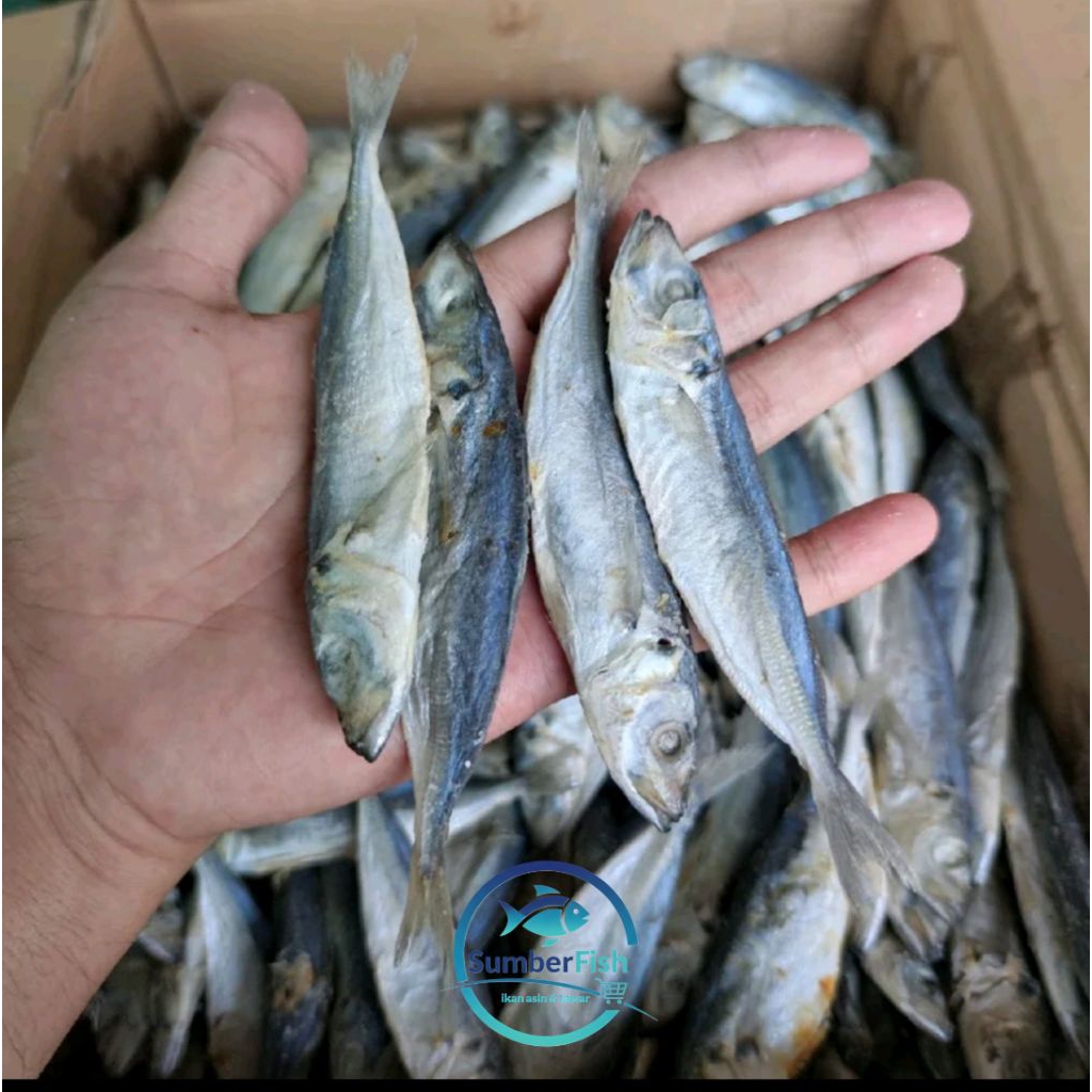 ikan asin peda layang kecil ikan asin peda kemasan 250gr