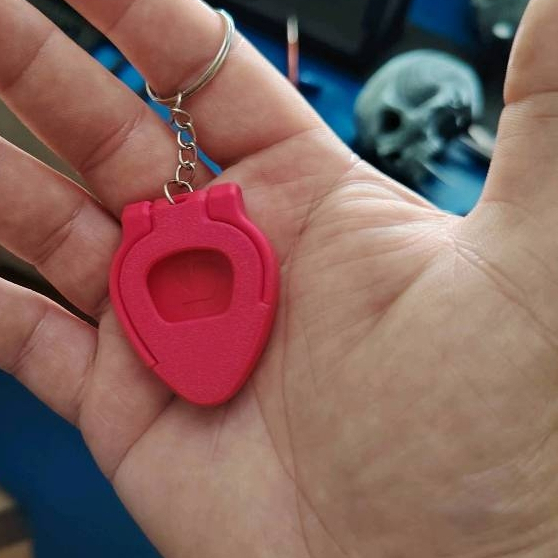 holder pick gitar keychain pick gitar