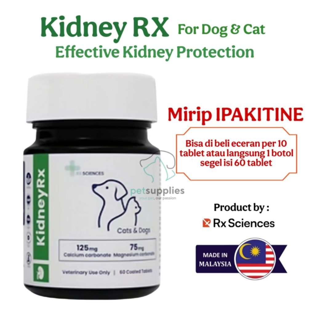 Kidney RX - Vitamin Ginjal Kucing Anjing mirip IPAKITINE untuk kucing Anjing CKD Hepato Protector Gi