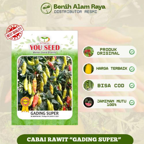 CABE RAWIT GADING SUPER YOU SEED (10 Gram)