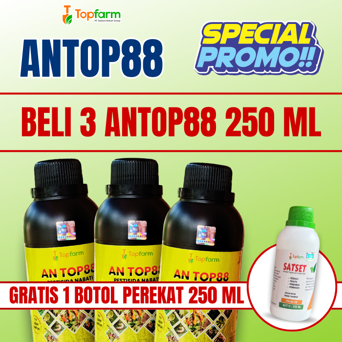 Promo Beli 3 Gratis Perekat 250 ML / Pestisida Cabe Keriting / Obat Hama Cabe Keriting / Obat Busuk 