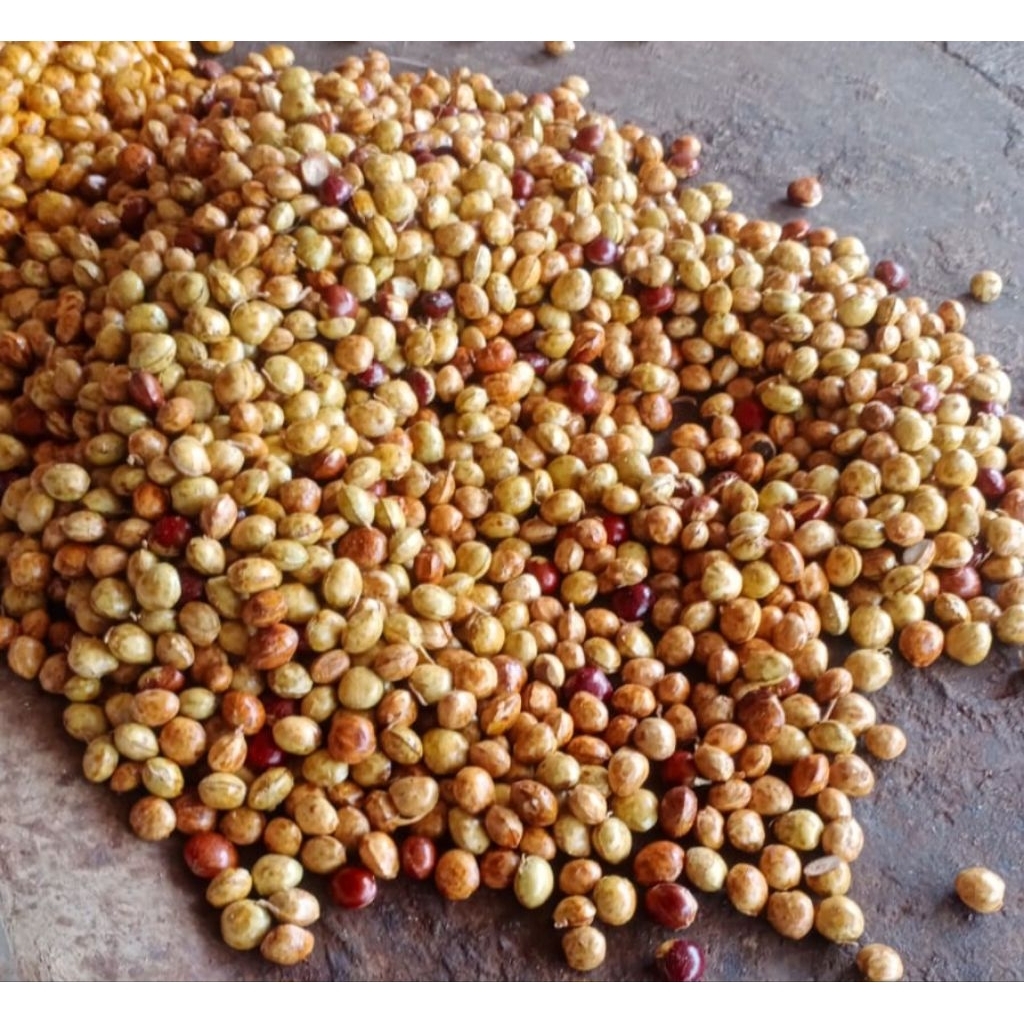 Jengkol Jepara Super, Tua, Pulen, Legit dan Enak 1kg