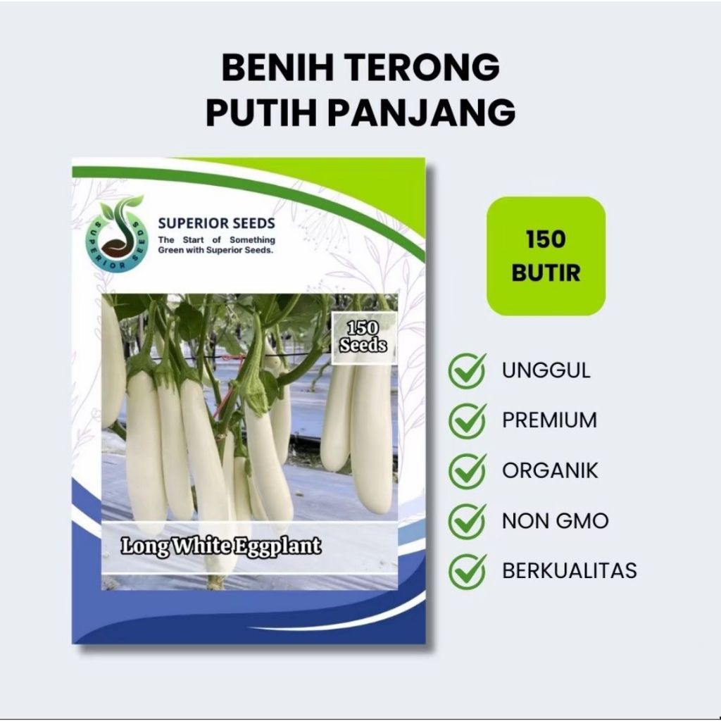 Biji Benih Terong Putih Panjang F1 Besar, Manis & Hasil Panen Melimpah