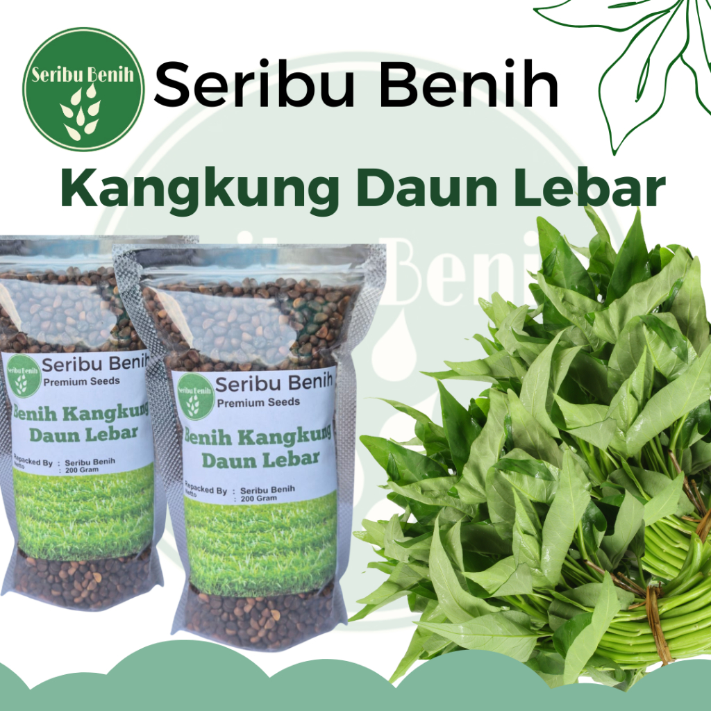 200 Gram Benih Kangkung Daun Lebar Unggul RAJAWALI - Bibit Sayuran Super Hidroponik Berkualitas