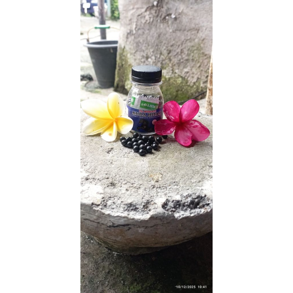 Jamu merpati suplemen untuk merpati balap & tinggian dan kolong