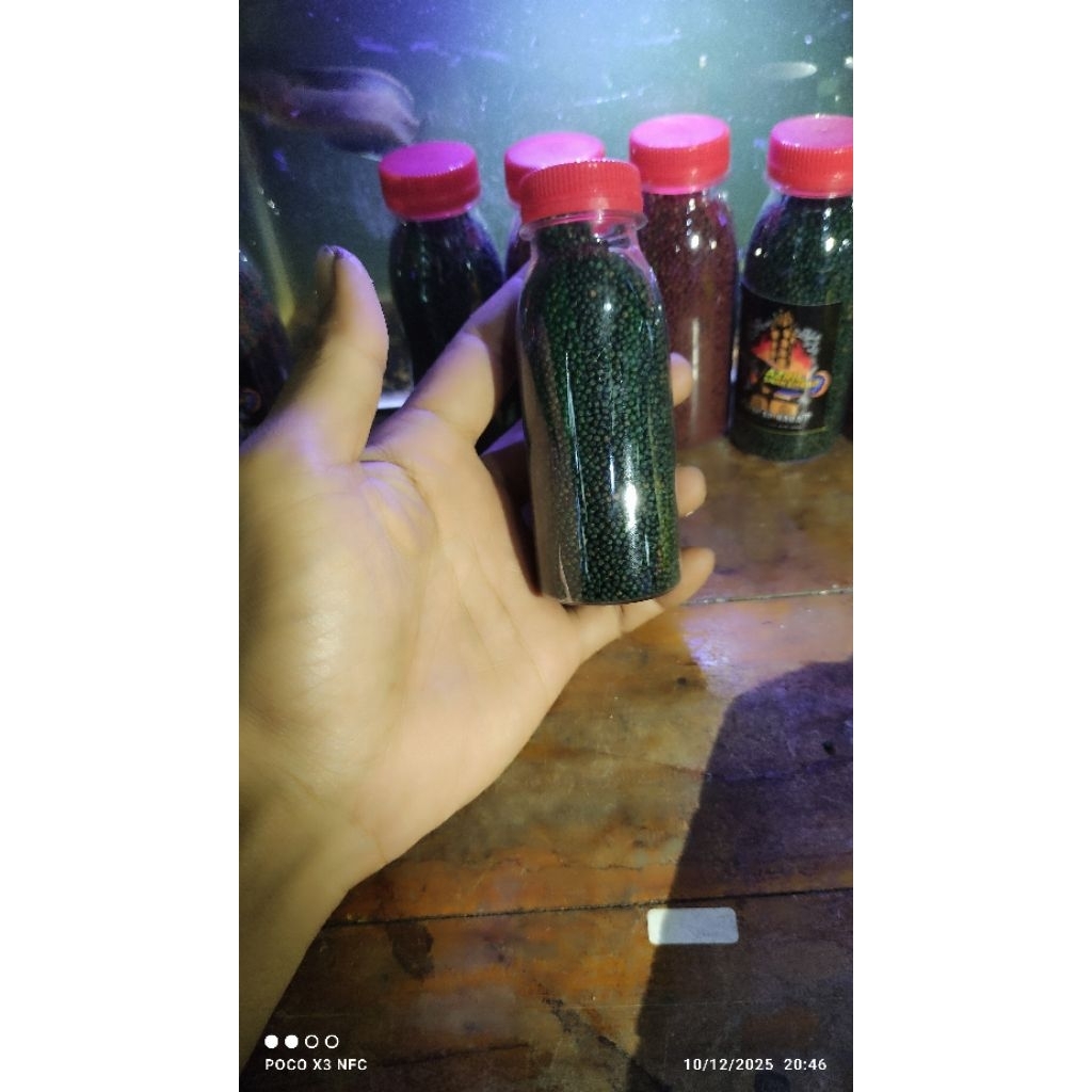 REKOMENDASI PAKAN IKAN CHANNA LIMBATA BOOSTER RED / BLUE & MIXMAX