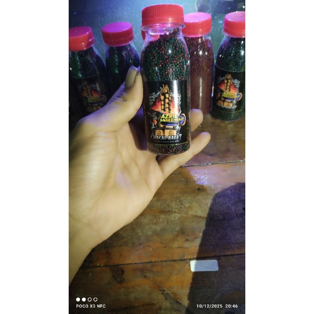 REKOMENDASI PAKAN IKAN CHANNA LIMBATA BOOSTER RED / BLUE & MIXMAX